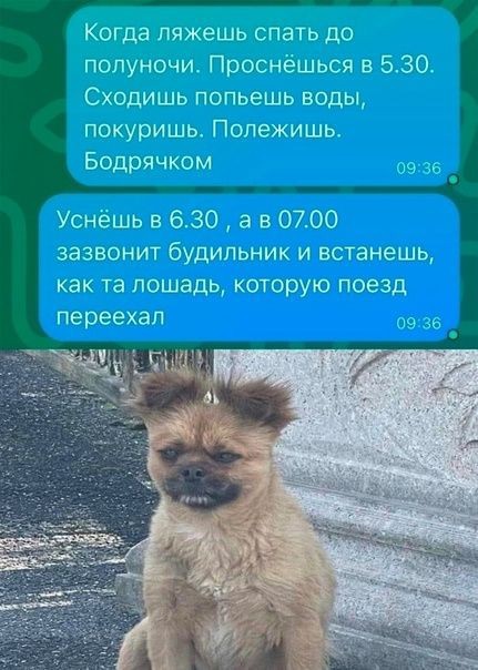 Всего понемногу. От 22.12.23