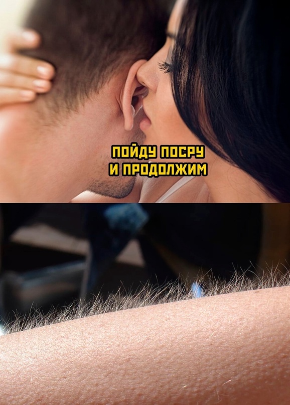 Весёлый полтишок 18.01.24