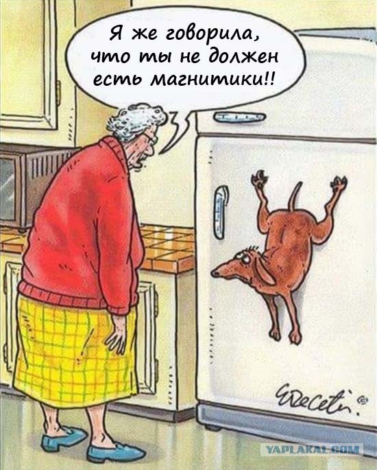 Юмор в картинках и без