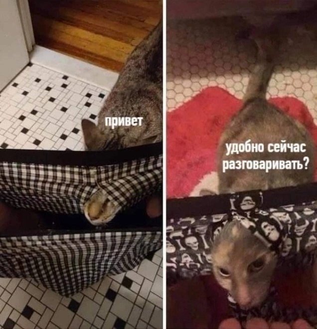 Немного юмора