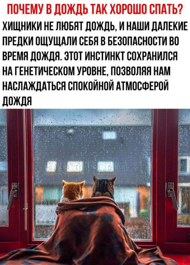 Так себе картинки 01.09.24