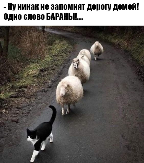 Так себе картинки 23.09.24