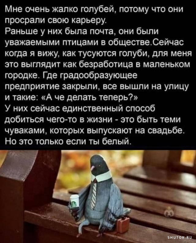 Веселые картинки в понедельник (30.09)