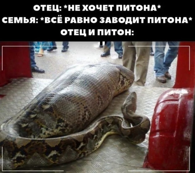 Мои избранные картинки, часть 2