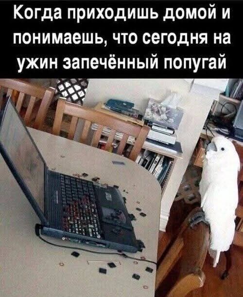 Завалялось тут случайно немного забавных картинок