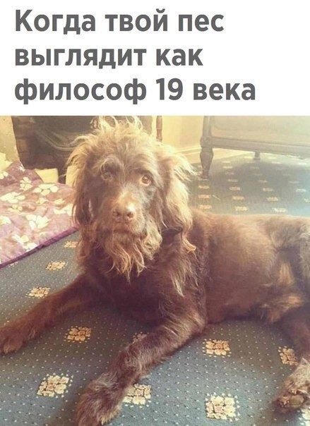 Картинки для деградации 24 (разной степени свежести)