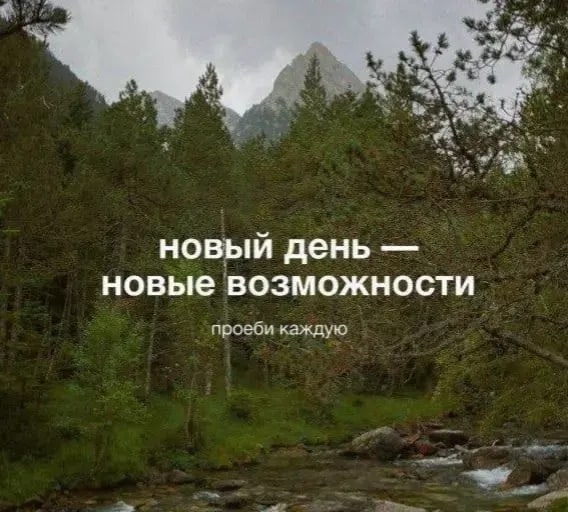 Спустя два стакана