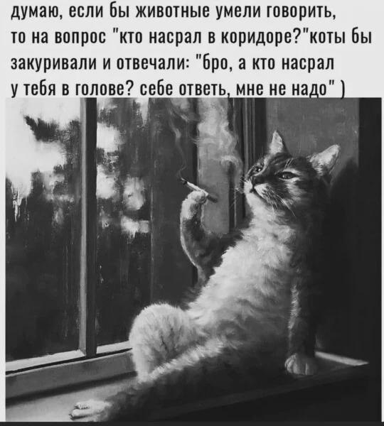 Прикольные и просто красивые картинки 07.10.2025