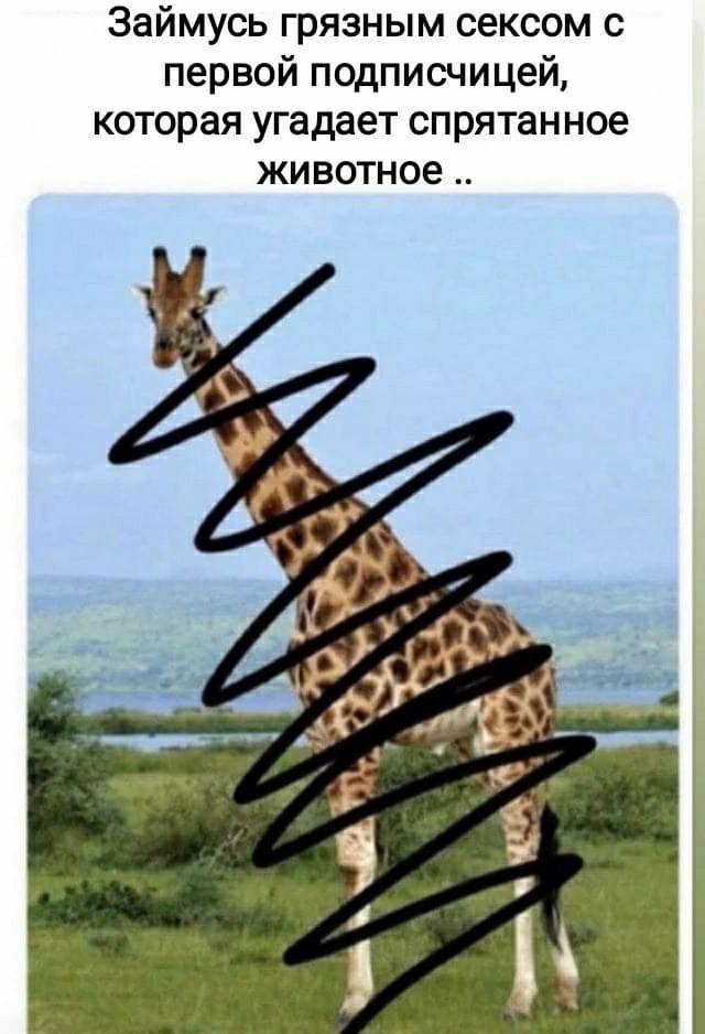 Картинки для деградации 73 (разной степени свежести)