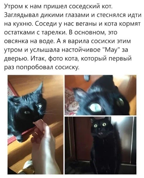 Вторник. Немного картинок