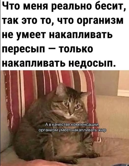 Картинки для деградации 100 (разной степени свежести)