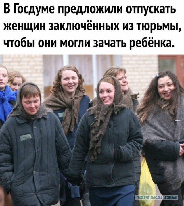 Так себе картинки 04.01.26