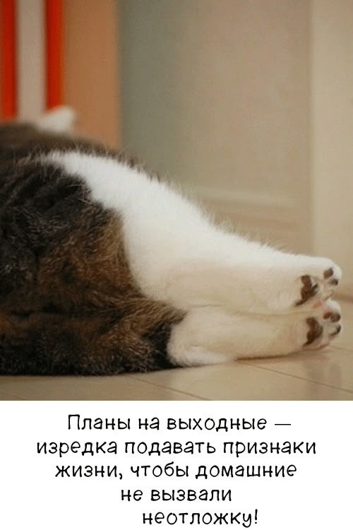 Четверговые картинки