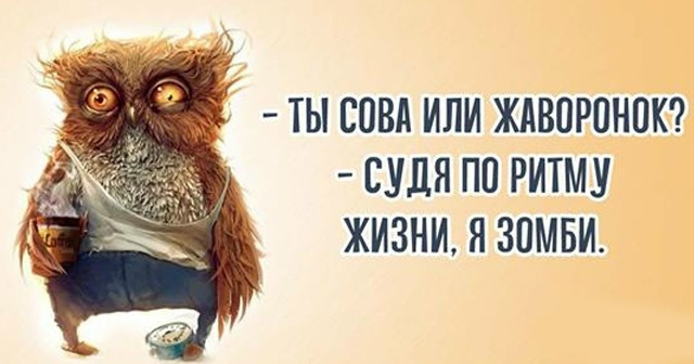 А вы сова или жаворонок?⁠⁠