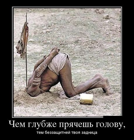 Давно же не было