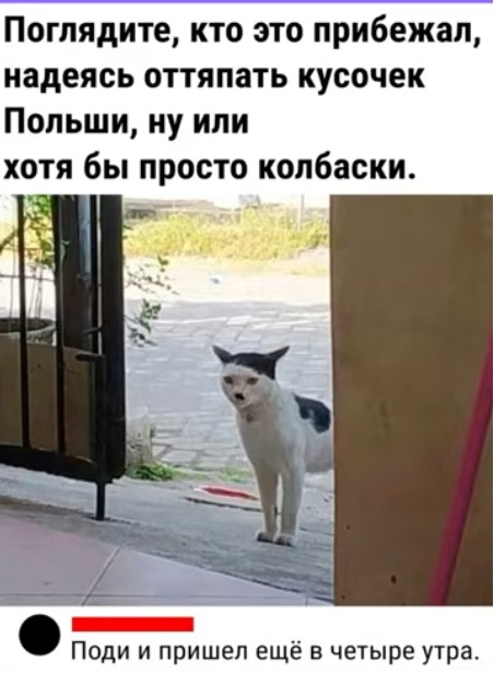 Картиночки, баянчики 04 апреля