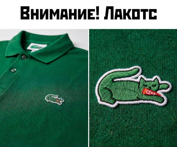 Среды картинки