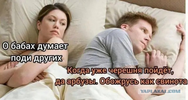 Приколюхи