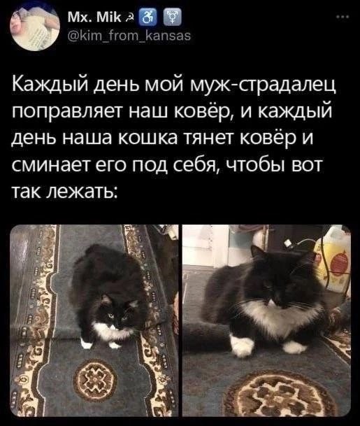 Веселое настроение в картинках 28.07.26