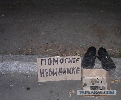 Веселые картинки в маленькую пятницу (05.08)