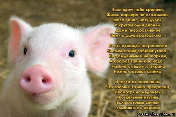 Зубы замучили, постоянные с ними проблемы