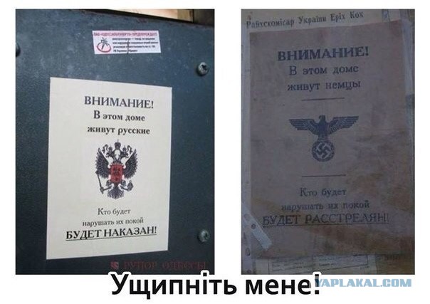 Есть ещё здравомыслящие люди в ВР Украины.
