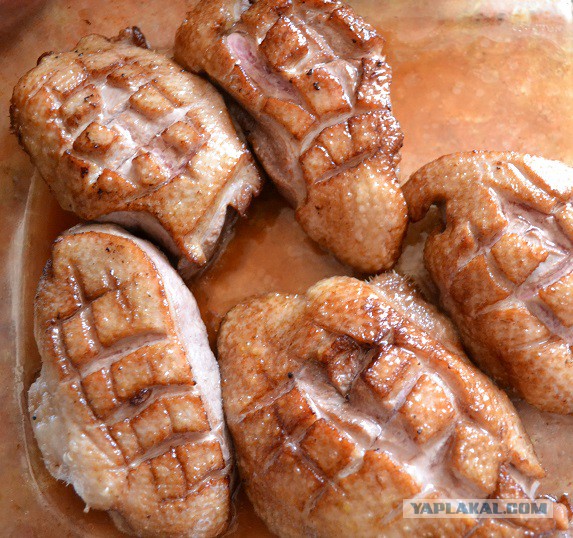 Утиные грудки