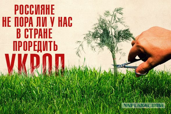 Если войска РФ не уйдут из Украины