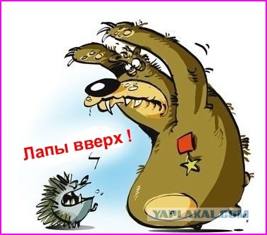 Официальная позиция РФ устами МИДа
