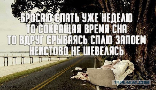Подборка веселых картинок