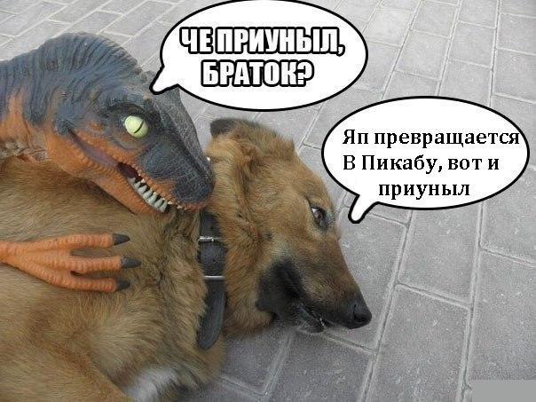 Ответ юзеров сети на появление нового мема Ничоси