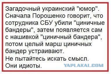 Ох, не любят хохлы правды...