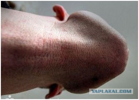 Не выходя из квартиры