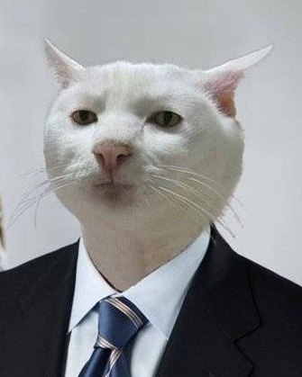 Первый день на работе