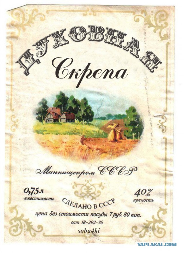 Алтайского ребенка лечили от энцефалита в церкви