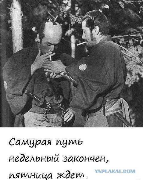 Пятница 07.08.15