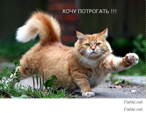 Бедра и профессиональная непригодность