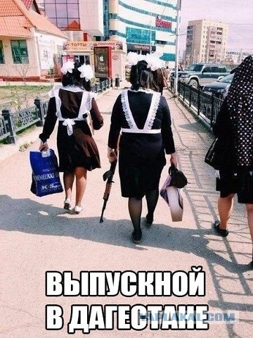 Прикольные картинки и демотиваторы
