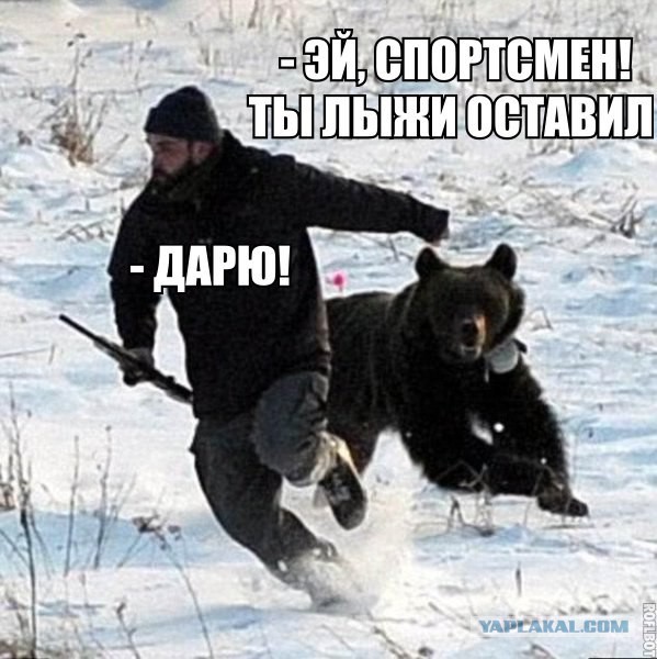 15 картинок с тЫрнета