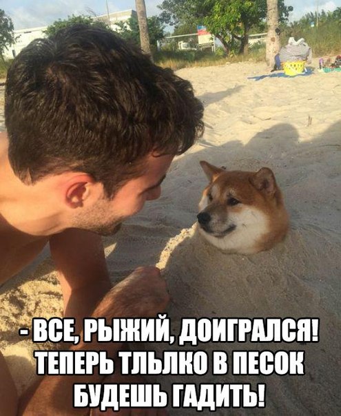 Разные картинки