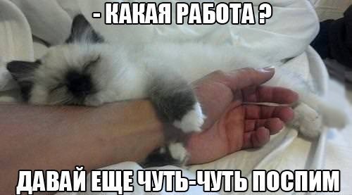 А давайте улыбнёмся В Новом Году