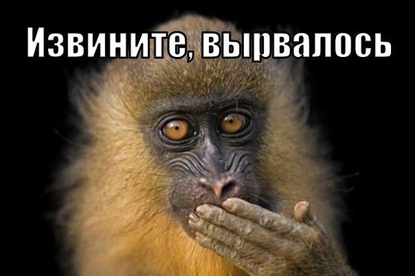 Собчак сравнила себя с Поклонской
