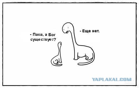 Смешные комментарии из социальных сетей 05.02.2016