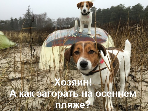 Подборка картинок
