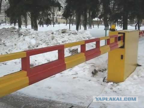 Божена Рынска заявила, что детские площадки надо заливать зарином