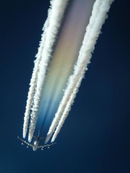 Подборка  картинок