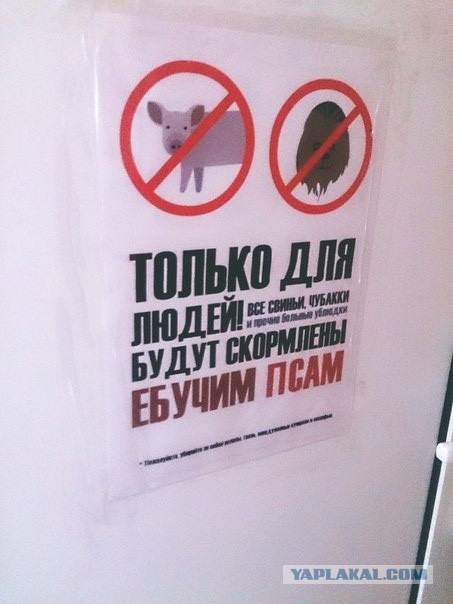 Бабский туалет на работе