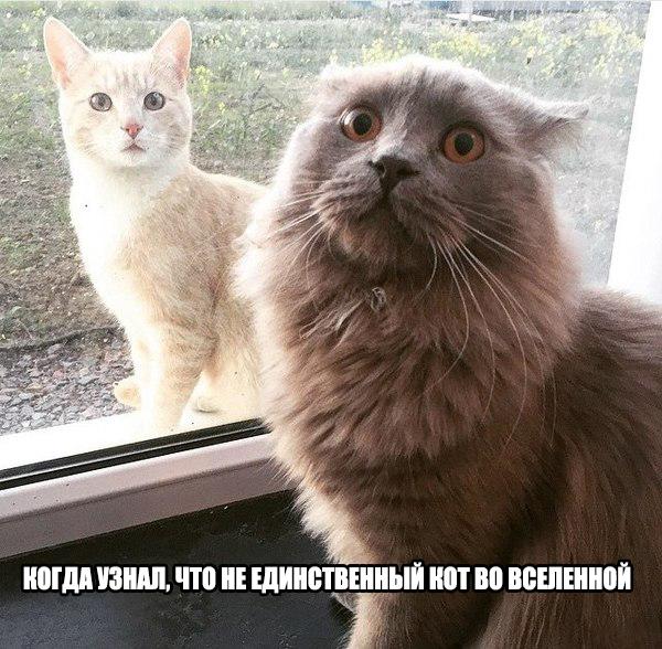 Подборка интересных и веселых картинок
