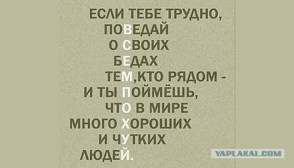 В кого мы превратились?
