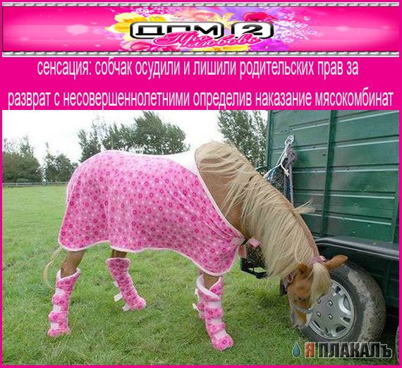 Фотожаба: Желтая пресса